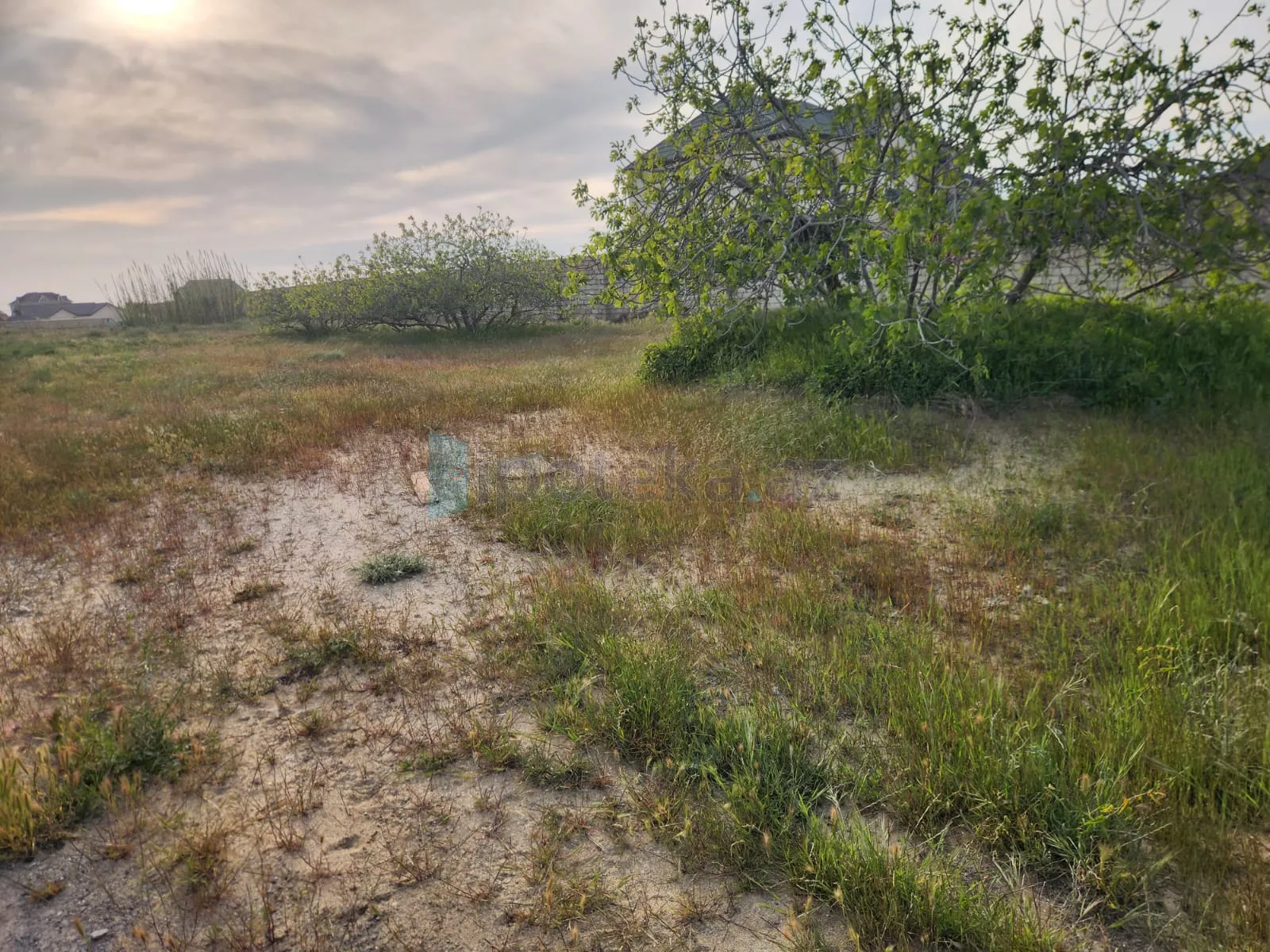 Satılır: Torpaq, Sabunçu r., Nardaran q., 25.00 m² — Torpaq, Bilgəh (2)