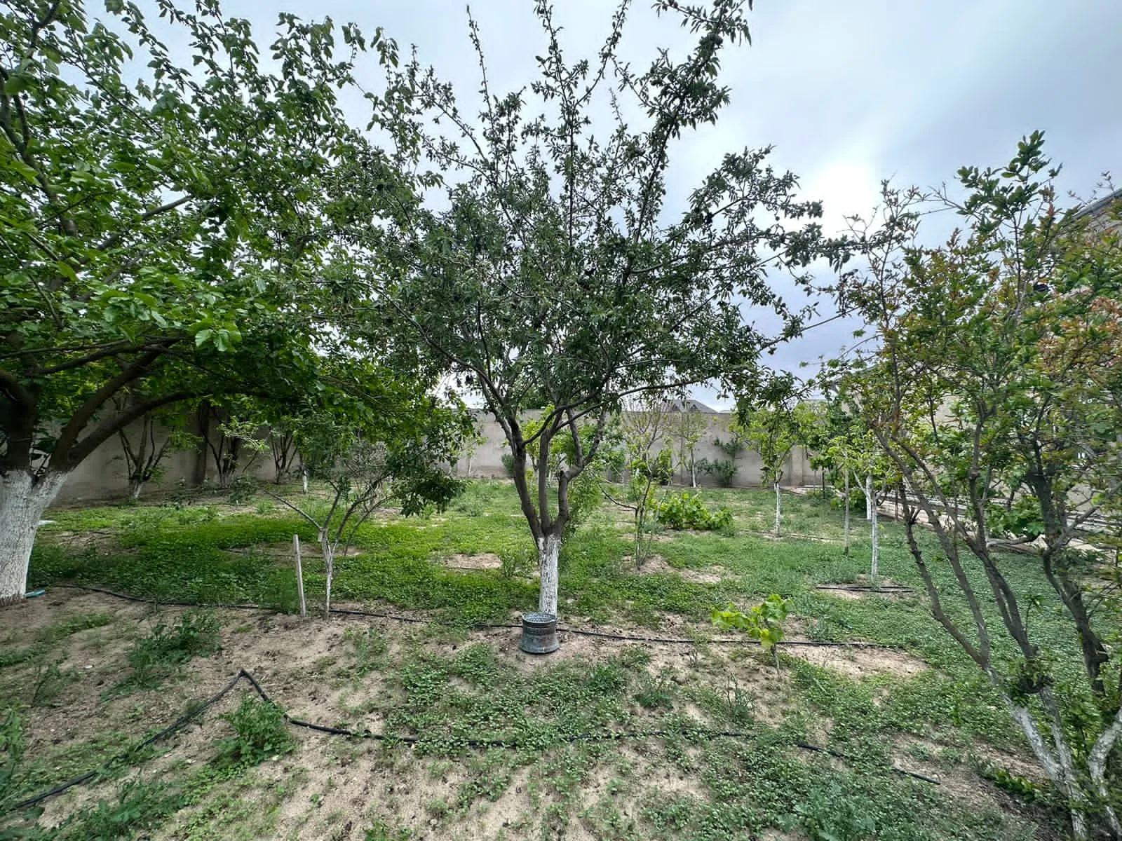 Şağan, Torpaq satılır - 7 sot — Torpaq, Bakı (4)