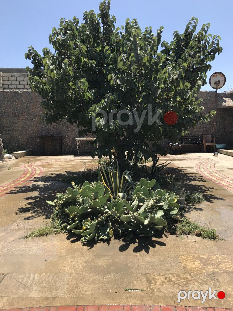 İcarəyə verilir 2 otaqlı həyət evi/bağ evi 55 m² — Ev, villa, Bakı (7)