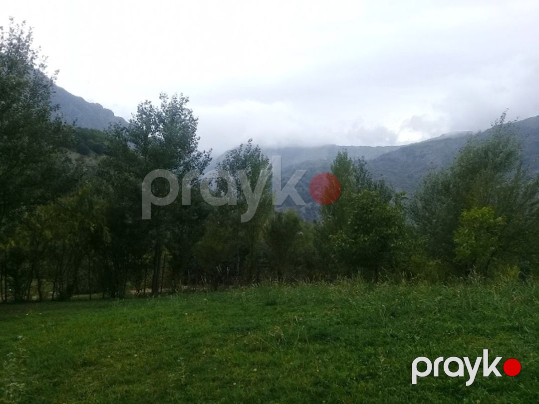 Satılır torpaq 16 sot — Torpaq, İsmayıllı (7)