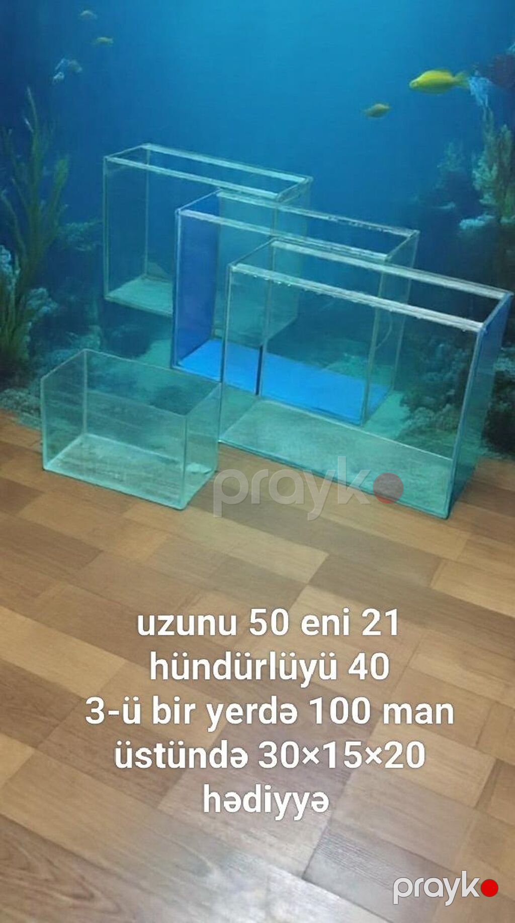 Dördbucaq akvarium, Boş, 35 l — Akvariumlar və balıqlar, Bakı