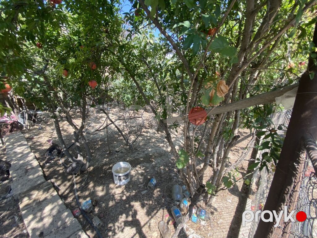 2 sot, Kupça (Çıxarış) — Torpaq, Masazır (5)