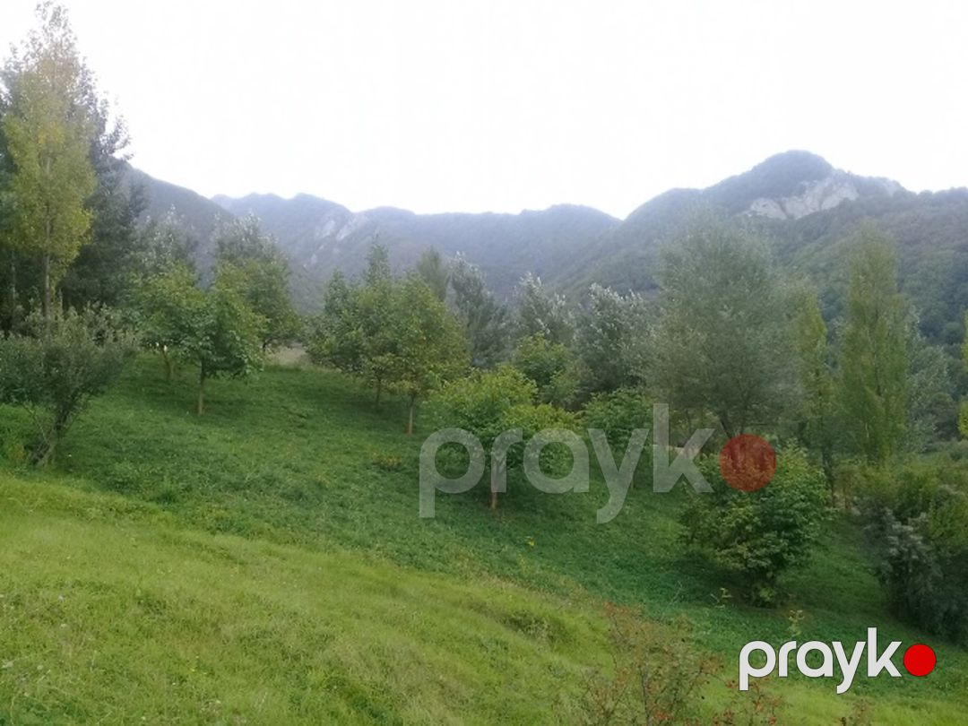 Satılır torpaq 16 sot — Torpaq, İsmayıllı (4)