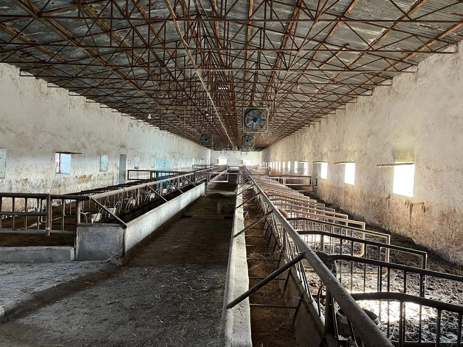 Satılır: Torpaq, 30.00 hektar — Şirvan