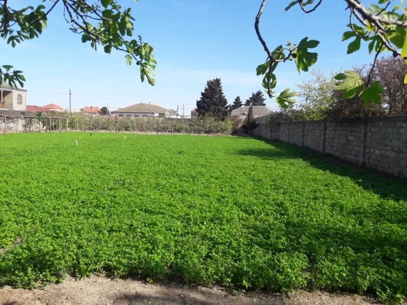 Mərdəkan, Torpaq satılır - 15 sot — Torpaq, Bakı (3)