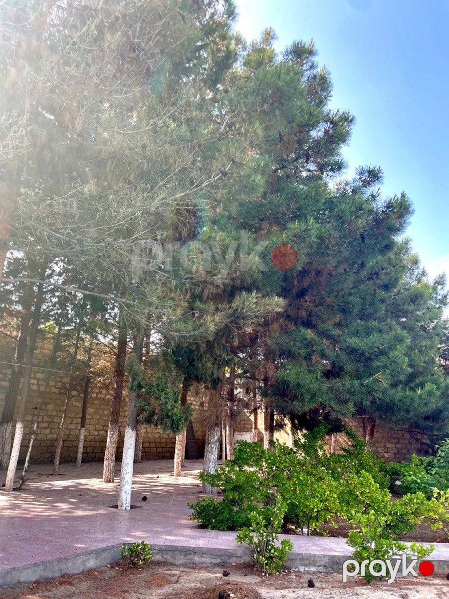 Bağ evi, Nardaran qəs — Ev, villa, Bakı (8)
