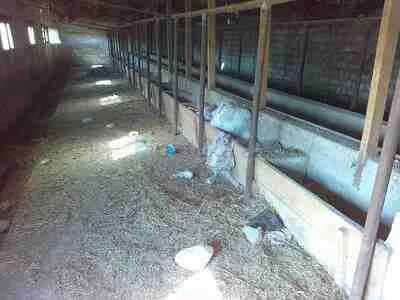 Satılır: Torpaq, Abşeron r., Masazır q., 20.00 sot — Torpaq, Saray (2)