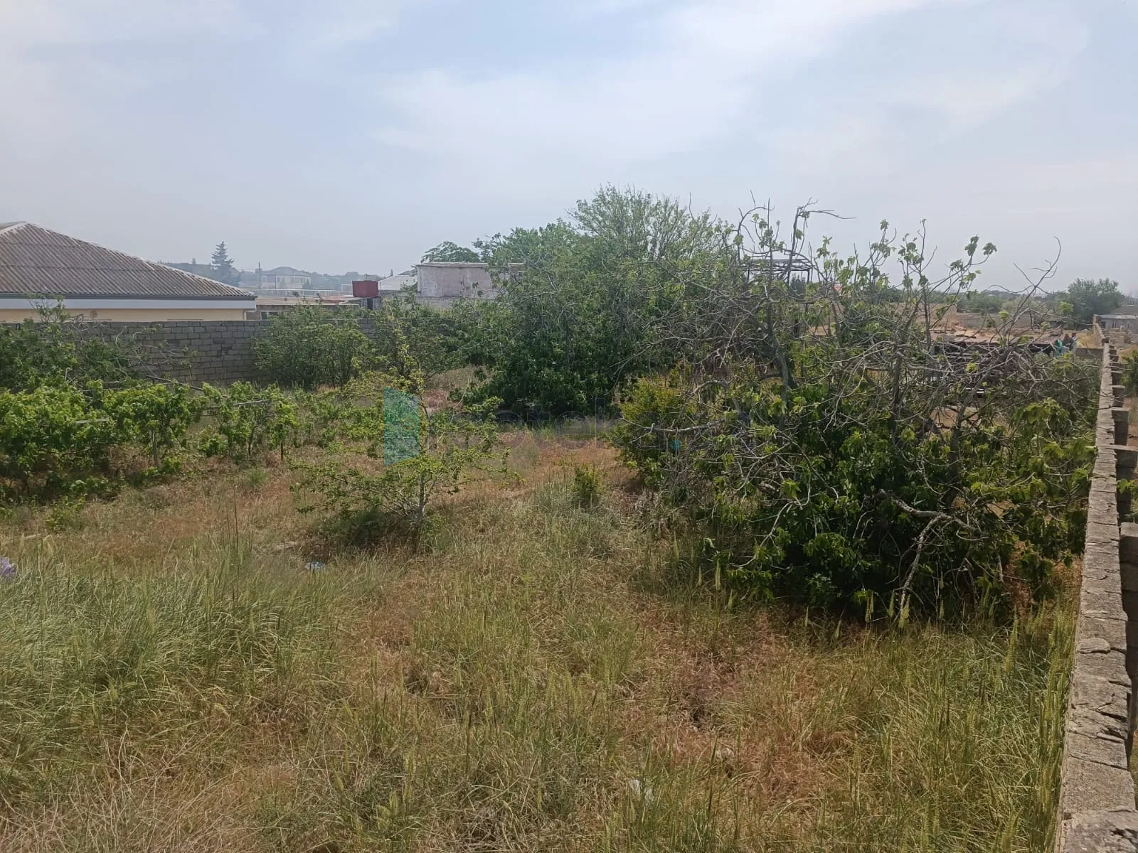 Satılır: Torpaq, Sabunçu r., Nardaran q., 12.00 sot — Torpaq (3)