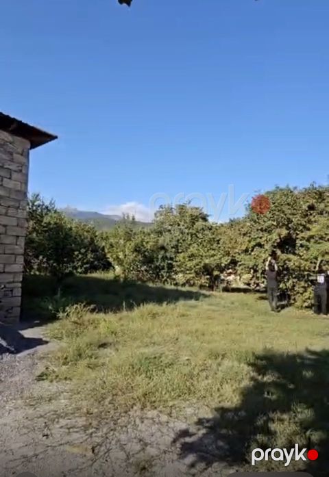 Satılır torpaq 13 sot — Qəbələ