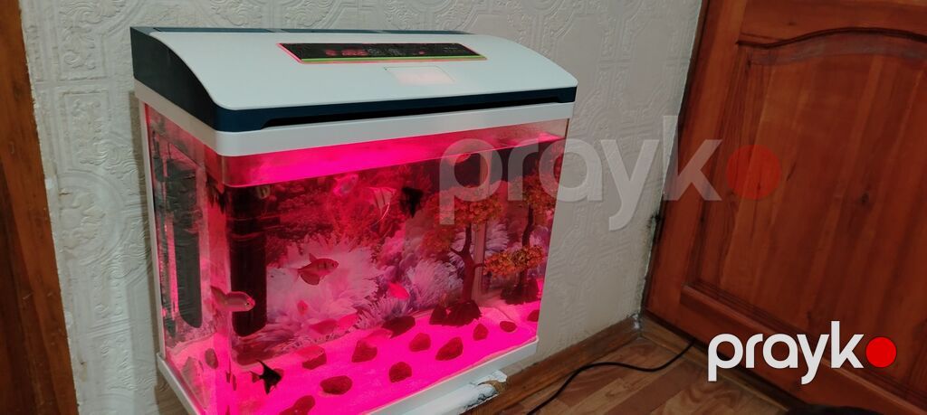 Ağıllı LED işıqlı akvarium seti - Müasir dizaynlı qapaq və toxunma — Akvariumlar və balıqlar, Sumqayıt (6)