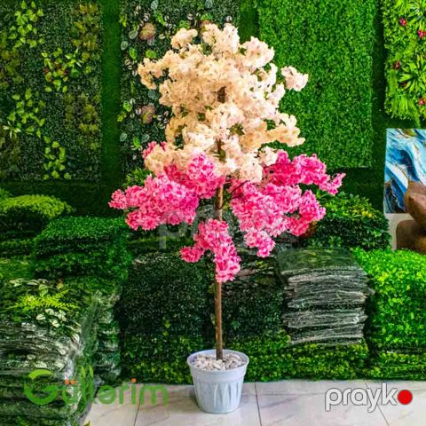 Süni Sakura Bitkisi — Bakı