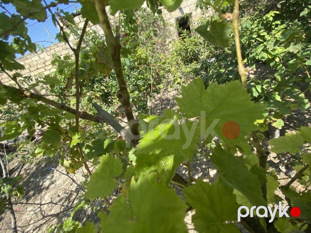 2 sot, Kupça (Çıxarış) — Torpaq, Masazır (3)