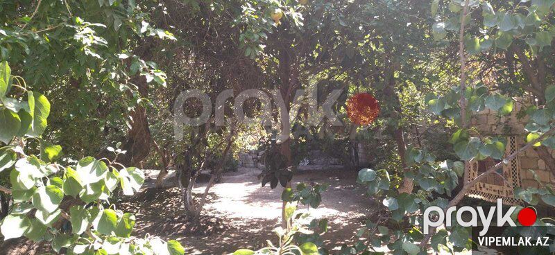 Sabunçu rayonunda 3 otaqlı Torpaq Satılır, 5 sot — Torpaq, Bakı (8)