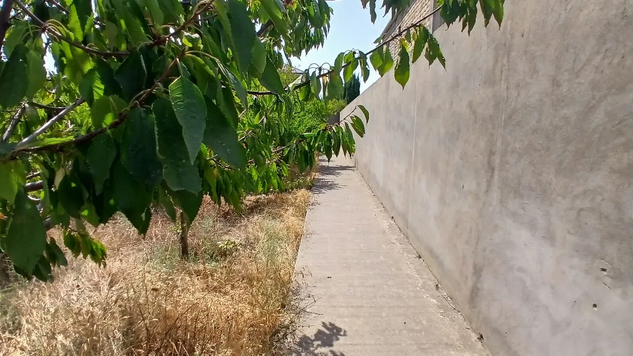 Novxanı, 8 otaqlı Həyət evi satılır - 375 m², 2 mərtəbə, 12 sot — Ev, villa, Bakı (4)