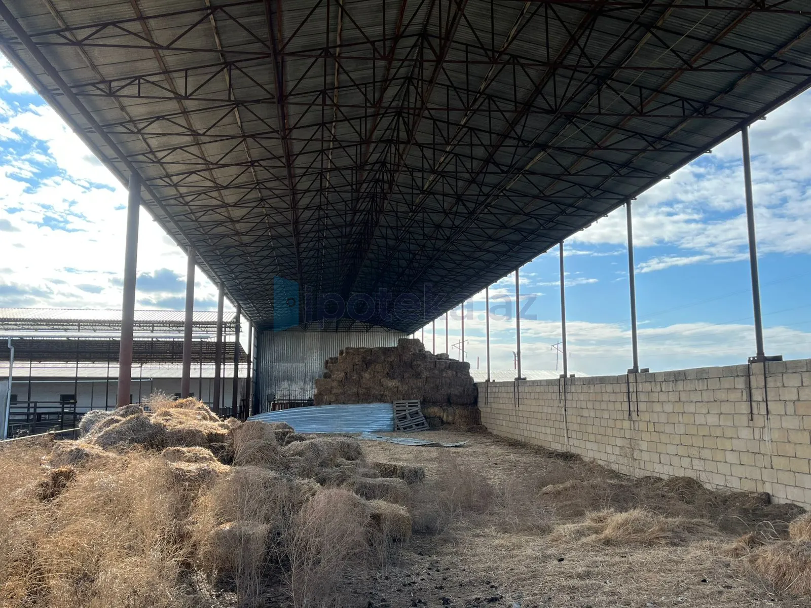 Satılır: Torpaq, 30.00 hektar — Torpaq, Şirvan (2)
