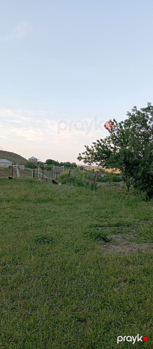 Bağ evi, Siyəzən r — Ev, villa, Siyəzən (9)