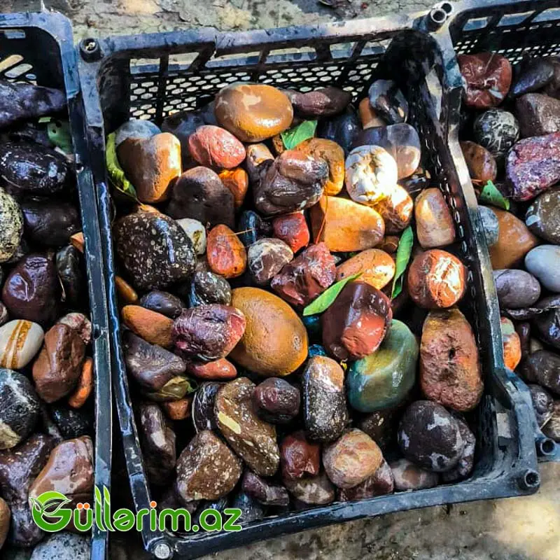 Təbii çay daşları ()Cay dasi) — Bağ dekorasiyası, Bakı (3)