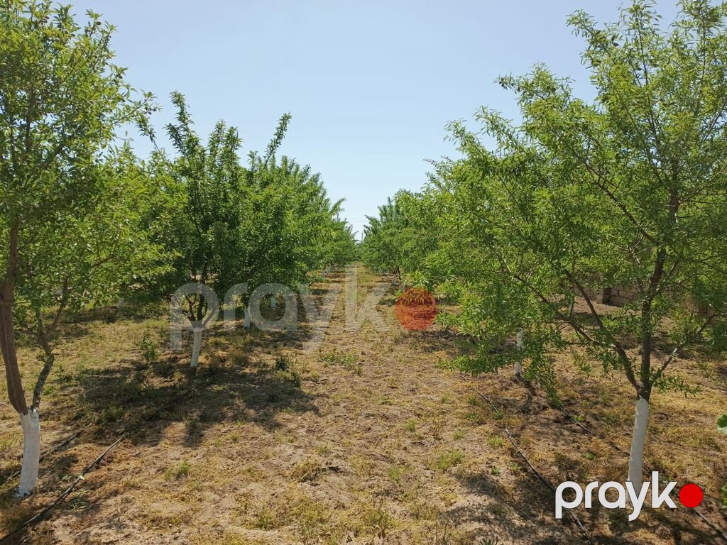 24 sot, Texniki pasport — Torpaq, Bakı (3)