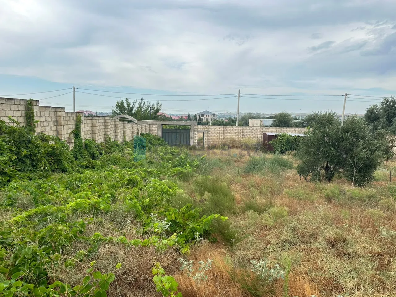 Satılır: Torpaq, Abşeron r., Saray q., 12.00 sot — Torpaq, Saray (3)