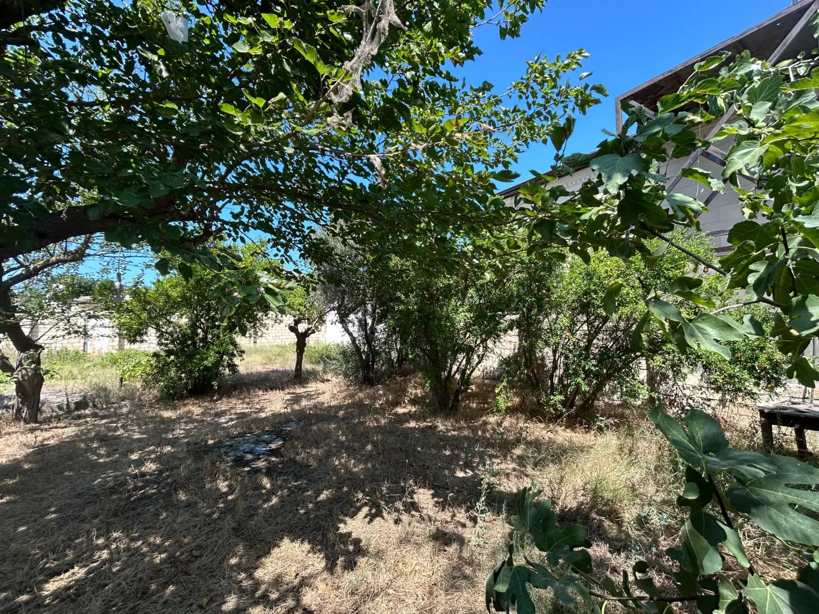 Bilgəh, Torpaq satılır - 8 sot — Torpaq, Bakı (7)