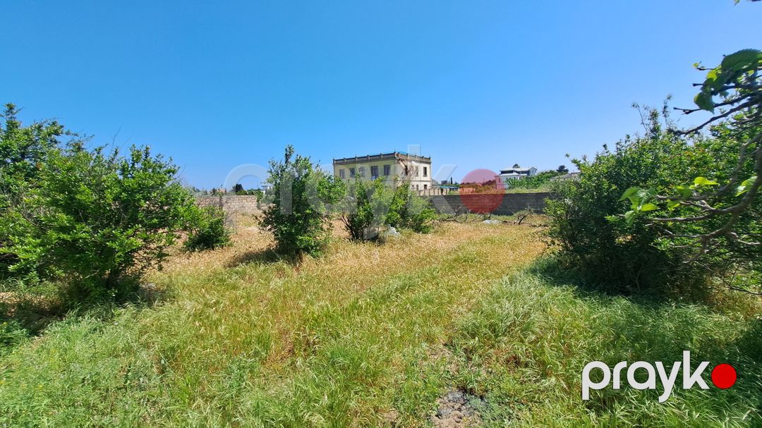 Satılır torpaq 6 sot — Torpaq, Bakı (6)