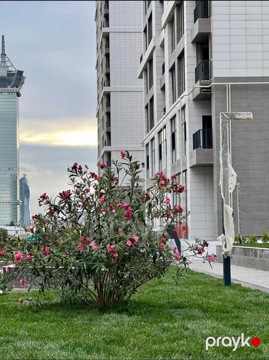 Satılır 1 otaqlı yeni tikili 79.3 m² — Mənzil, Bakı (4)