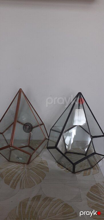 Terrarium — Dekor və interyeri, Bakı (3)