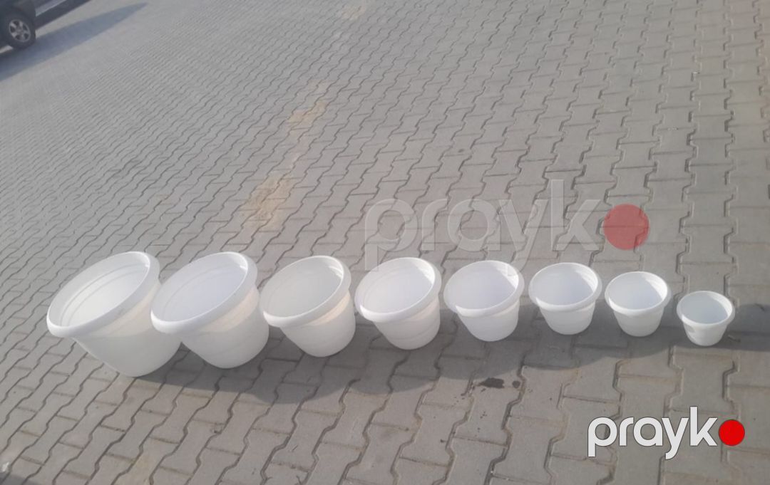 Dibçək — Bitkilər, Bakı (10)