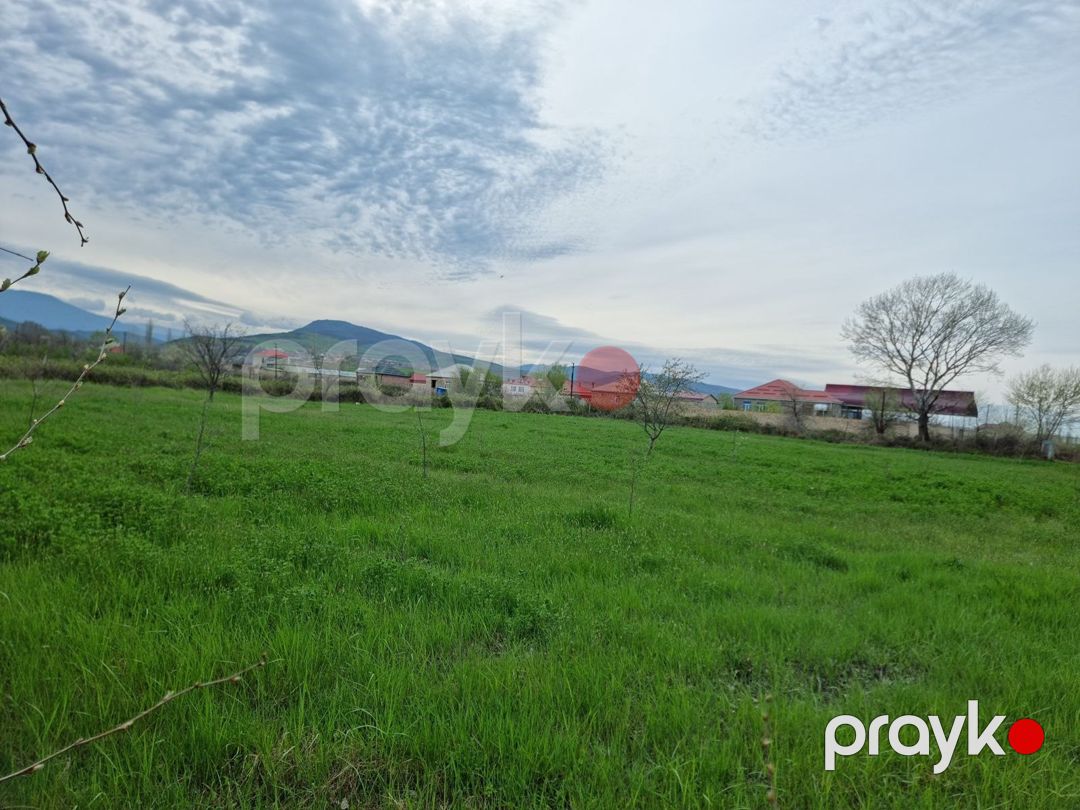 30 sot torpaq sahəsi, Şabran r — Torpaq, Şabran (9)