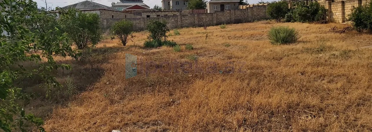 Satılır: Torpaq, Abşeron r., Saray q., 10.00 sot — Torpaq, Bakı (5)