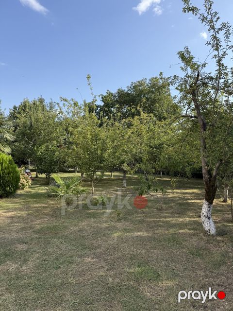 Satılır torpaq 8 sot — İsmayıllı