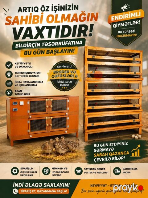 Cücə və bildirçin üçün broder və qəfəslər — Qusar