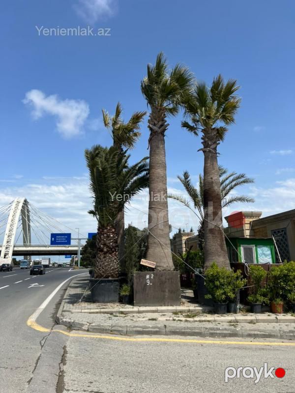 Satılır 4 otaqlı Həyət evi / Villa (Köhnə tikili), 90 m², Xəzər rayonu — Ev, villa, Bakı (3)