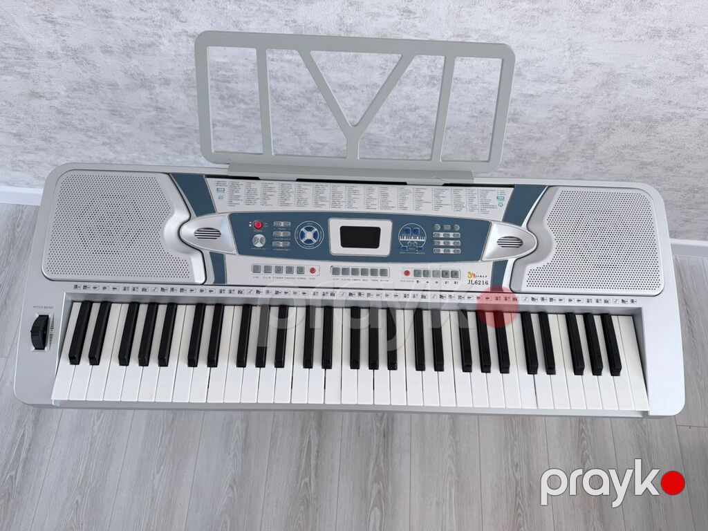 Sintezator, Yeni, Ünvandan götürmə — Pianino və digər klaviş alətləri, Digah (5)