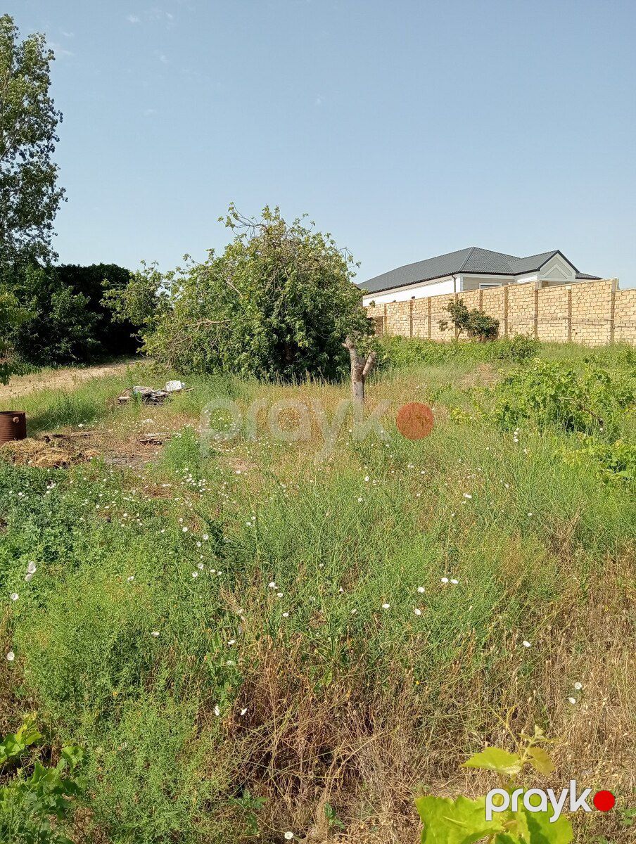 12 sot torpaq sahəsi, Novxanı qəs — Torpaq, Bakı (9)