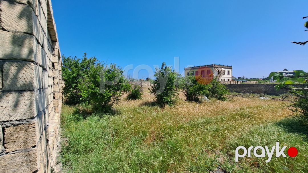 Satılır torpaq 6 sot — Torpaq, Bakı (3)