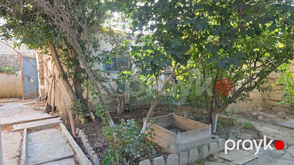 1 sot, Tikinti, Mülkiyyətçi, Kupça (Çıxarış) — Torpaq, Digah