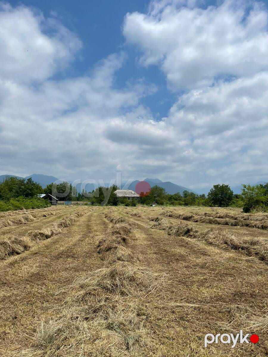 Satılır torpaq 80 sot — Torpaq, Qəbələ (6)