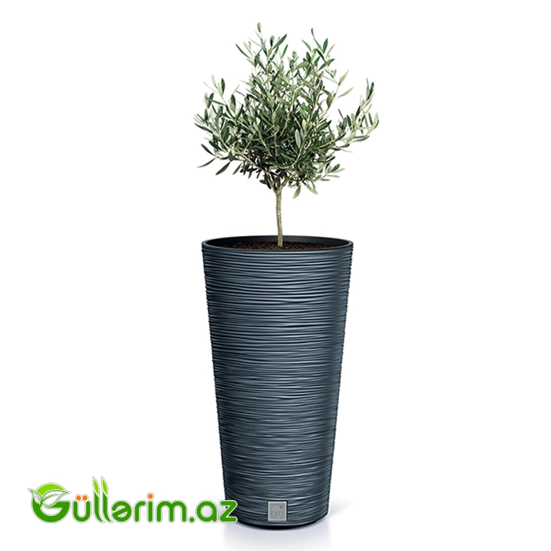 Plastik Dibçək 025 — Bağ dekorasiyası, Bakı (6)