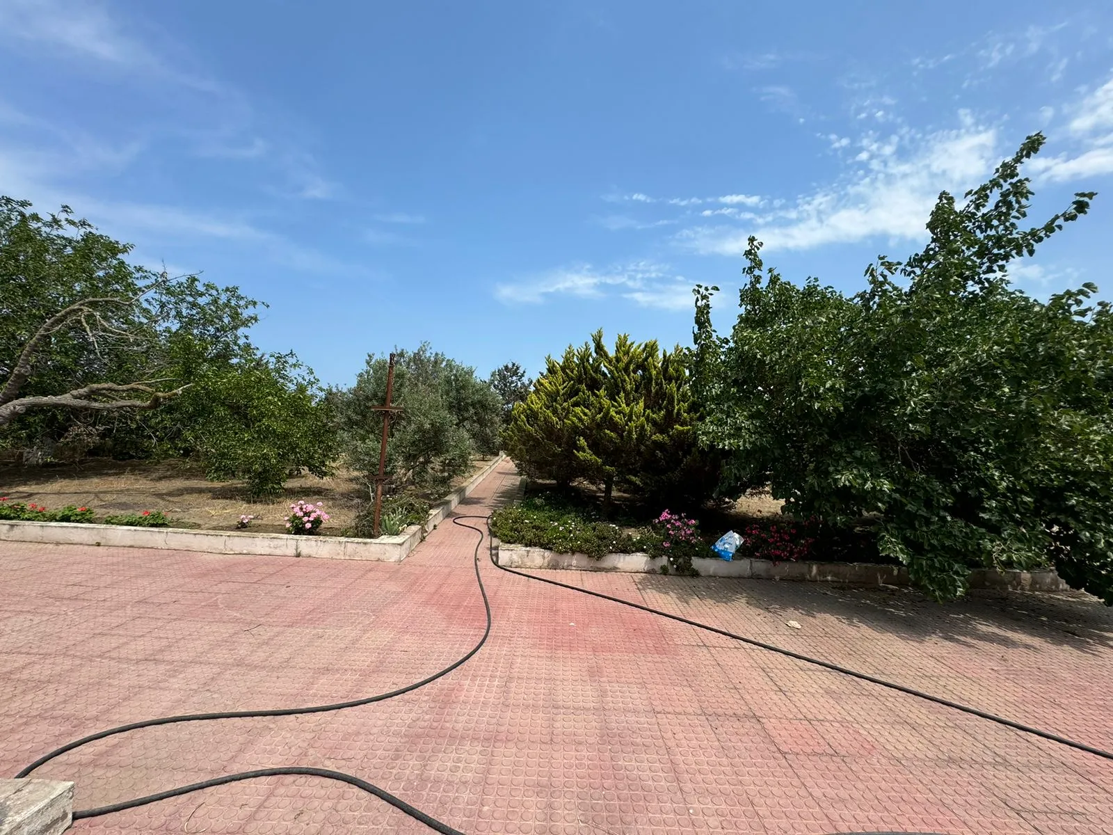 Şüvəlan, Torpaq satılır - 14 sot — Torpaq, Bakı (6)