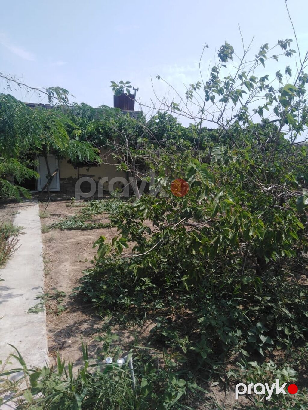Digah, 220 kv. m, 4 otaqlı, Hovuzsuz — Ev, villa, Digah (5)