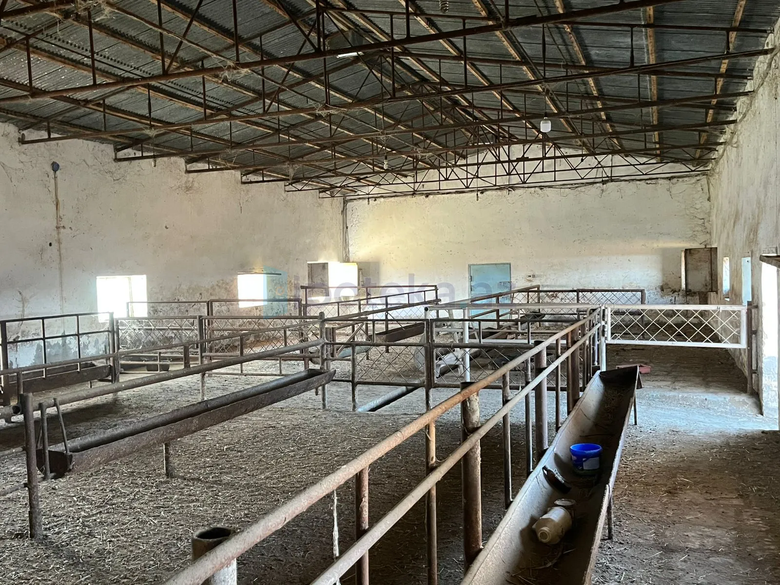 Satılır: Torpaq, 30.00 hektar — Torpaq, Şirvan (3)