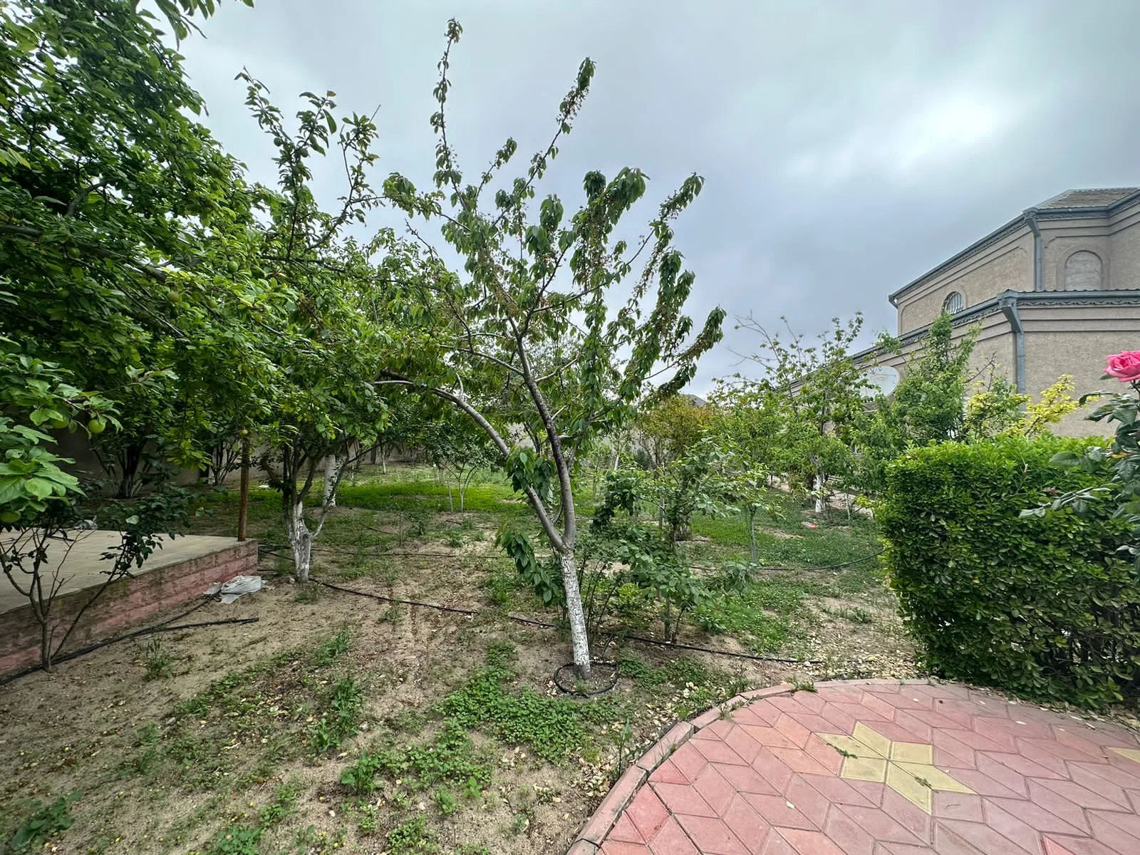 Şağan, Torpaq satılır - 7 sot — Torpaq, Bakı (8)
