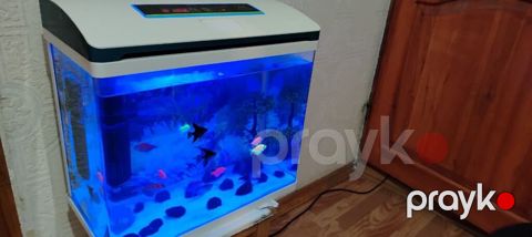 Ağıllı LED işıqlı akvarium seti - Müasir dizaynlı qapaq və toxunma — Sumqayıt