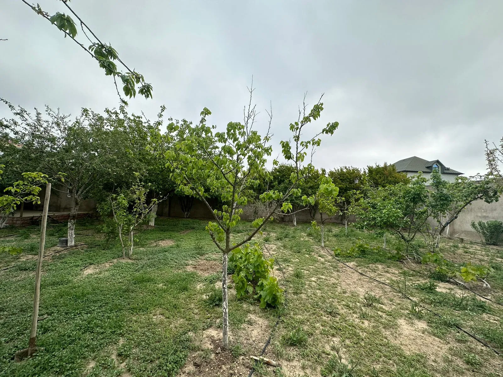 Şağan, Torpaq satılır - 7 sot — Torpaq, Bakı (5)