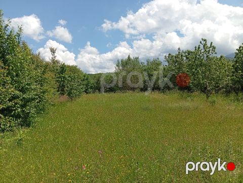 15 sot torpaq sahəsi, Quba r — Quba