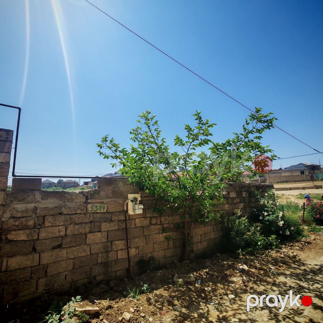 Satılır torpaq 5 sot — Torpaq, Bakı (4)