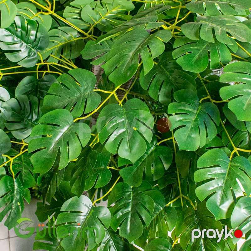 Süni Monstera Bitkisi — Dekor və interyeri, Bakı (2)