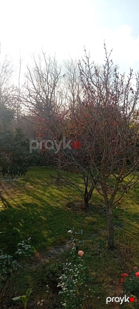 12 sot torpaq sahəsi, Ağdaş r — Torpaq, Ağdaş (2)