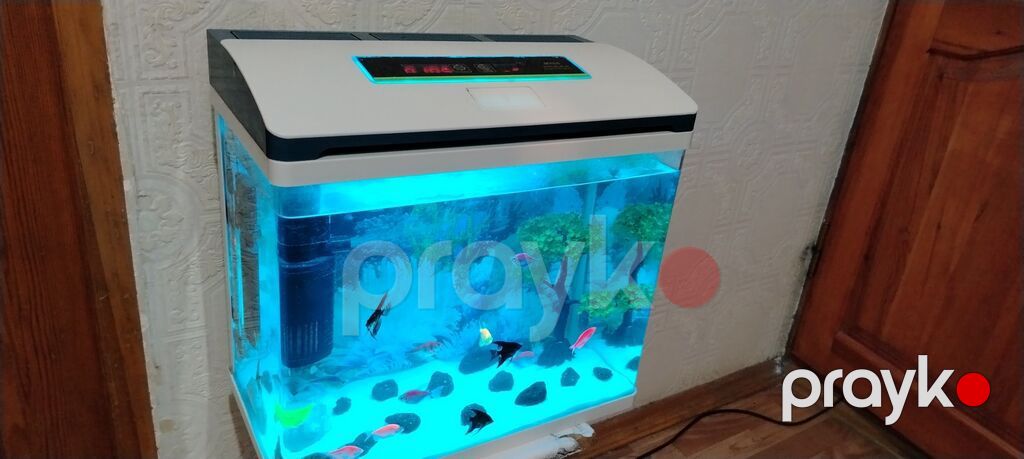 Ağıllı LED işıqlı akvarium seti - Müasir dizaynlı qapaq və toxunma — Akvariumlar və balıqlar, Sumqayıt (5)